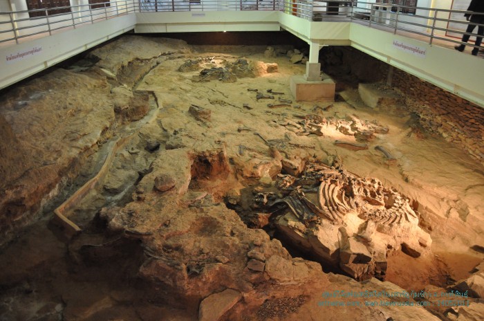 พิพิธภัณฑ์แหล่งขุดค้นไดโนเสาร์ภูกุ้มข้าว